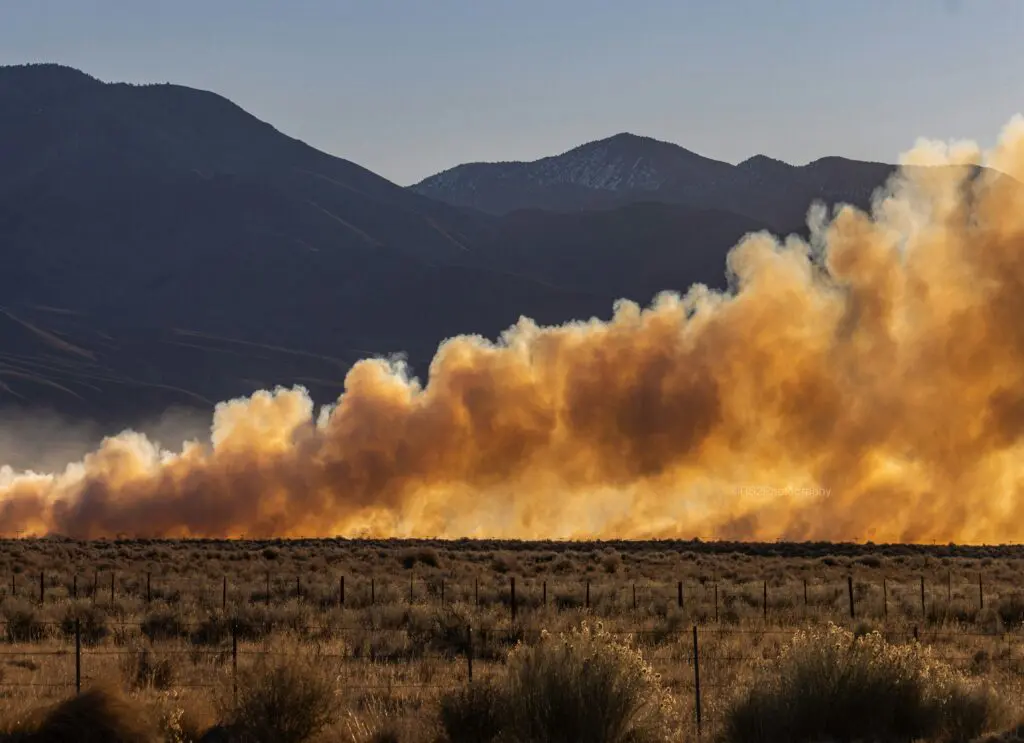 Wildfire in California spreading across a field.
