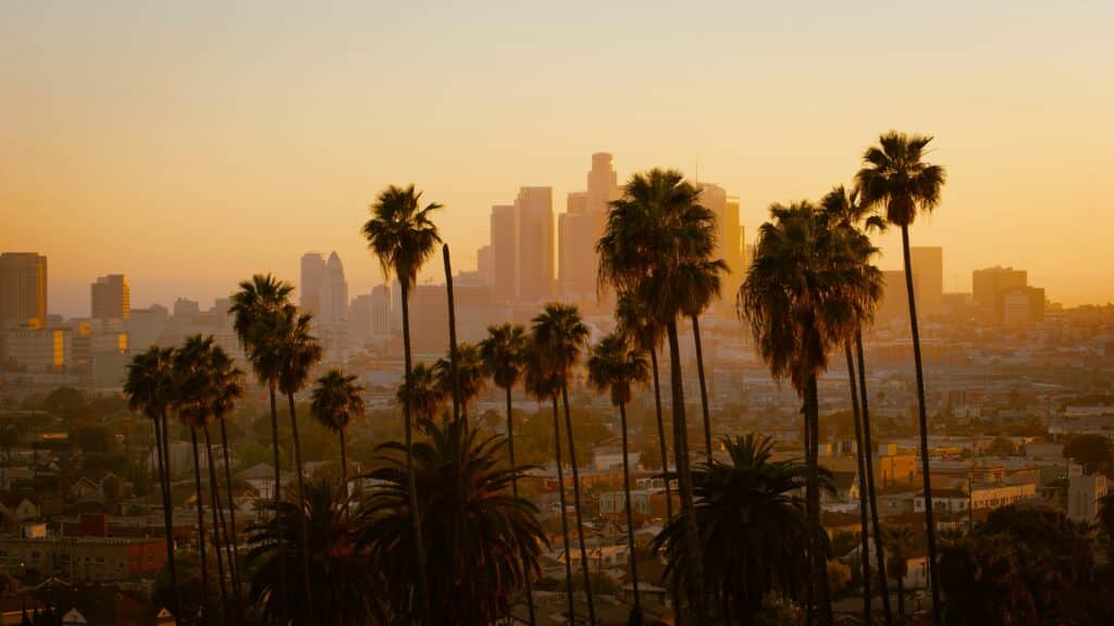 View of the city of Los Angeles at sunset. Row of palm trees in foreground.