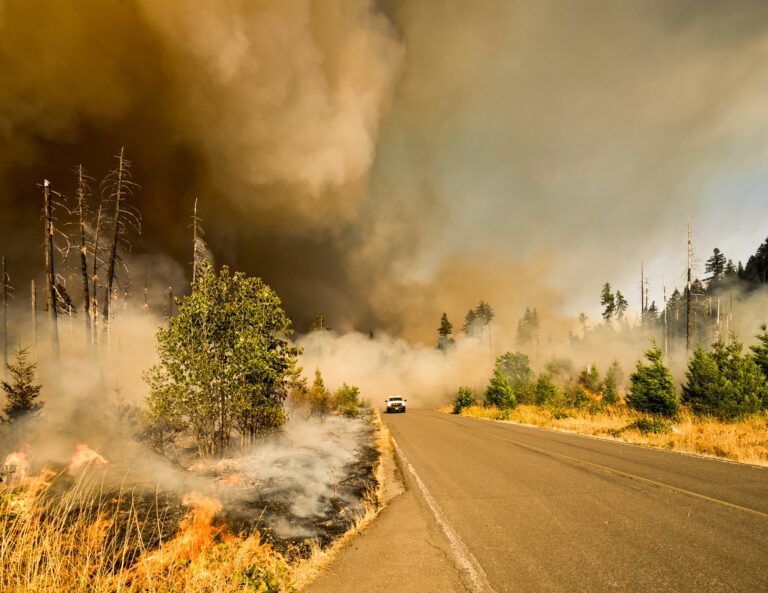 Truck driving through heavy smoke in a wooded area that has caught fire.