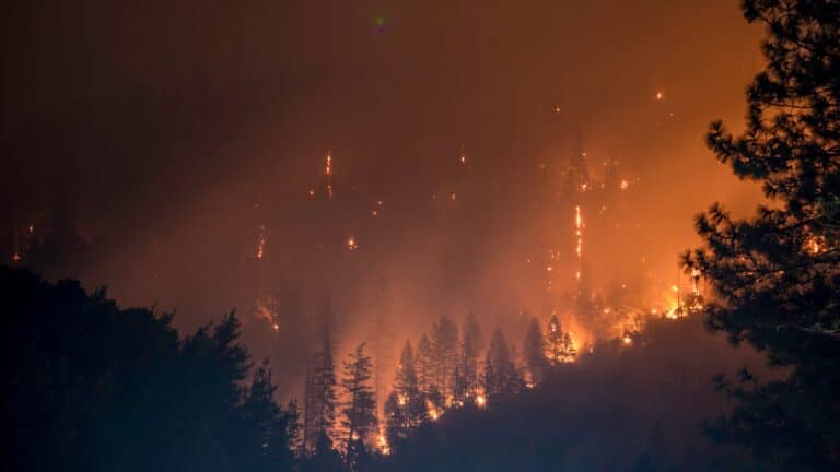 Nighttime photo of wildfire in Klamath National Forest in California.