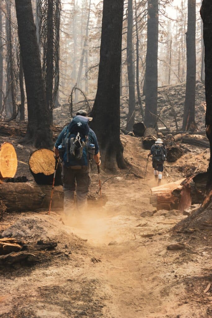 Two volunteers walking through a forest post-wildfire.